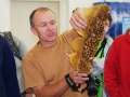 Medobraní ZOO3848.JPG
